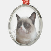 Kerstversieel van de Grumpy Glass-kerst Metalen Ornament (Links)