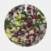 kerstversiering glas ornament (Achterkant)