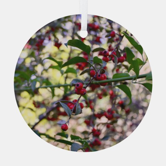 kerstversiering glas ornament (Achterkant)