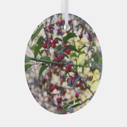 kerstversiering glas ornament (Voorkant Rechts)