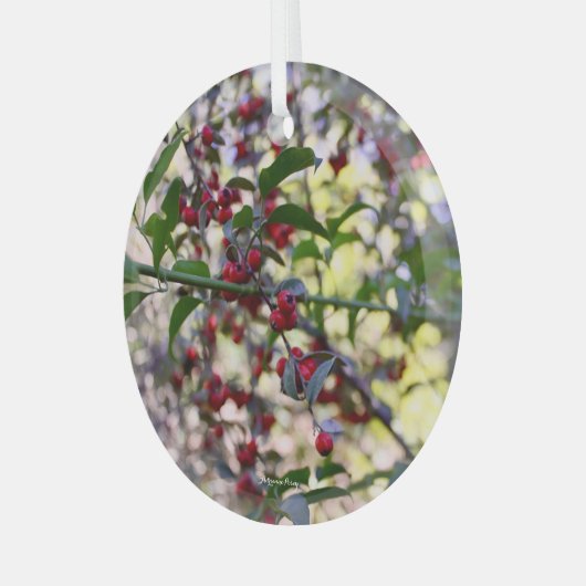 kerstversiering glas ornament (Voorkant links)