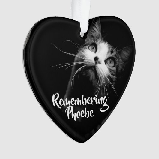 Kerstversiering Herdenking van je kat Ornament (voorkant)