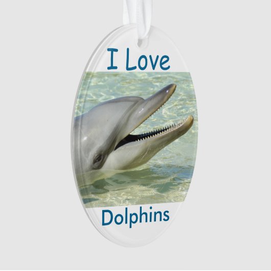 Kerstversiering "Ik hou van dolfijnen" Ornament (voorkant)