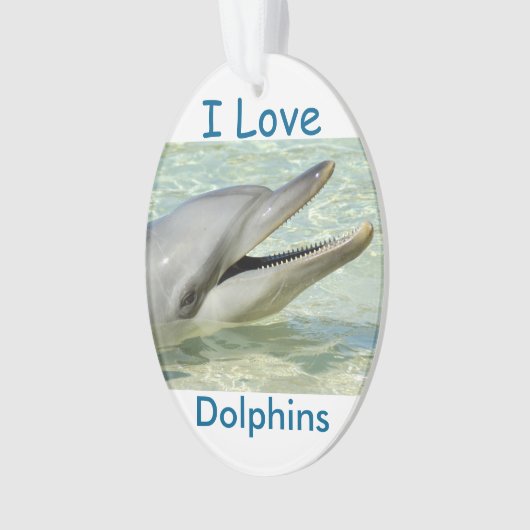 Kerstversiering "Ik hou van dolfijnen" Ornament (voorkant)