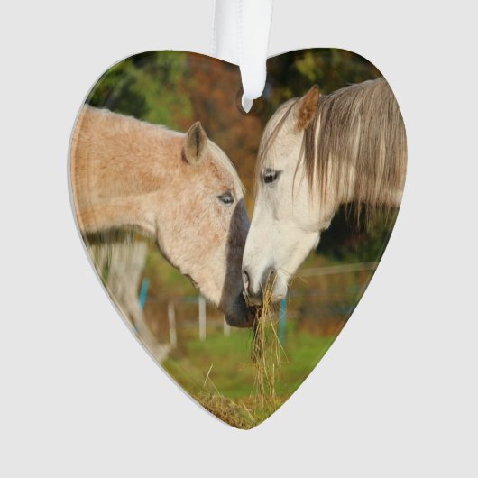 kerstversiering "Ik hou van mijn paarden" Ornament (voorkant)