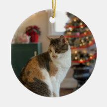 kerstversiering Kat