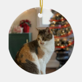 kerstversiering Kat Keramisch Ornament
