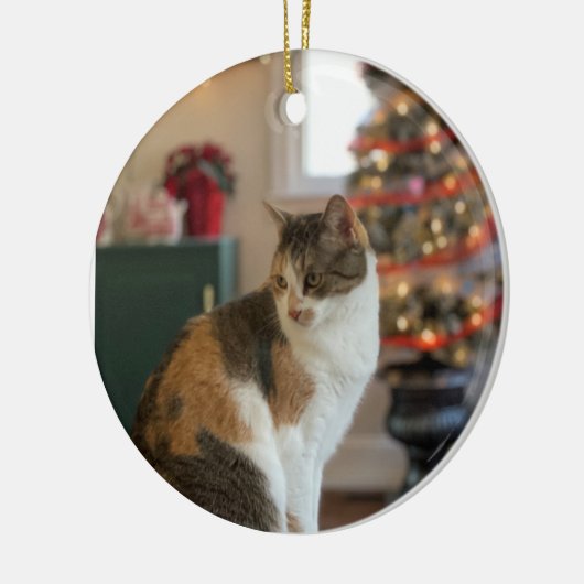 kerstversiering Kat Keramisch Ornament (Links)