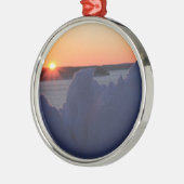 Kerstversiering meer Ozark Winter Metalen Ornament (Links)