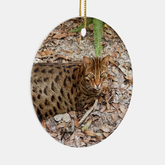 kerstversiering met bengachtige kat keramisch ornament (Rechts)