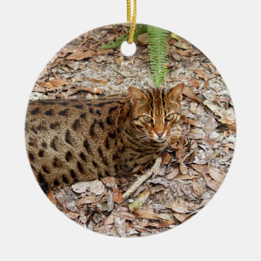 kerstversiering met bengachtige kat keramisch ornament (Voorkant)