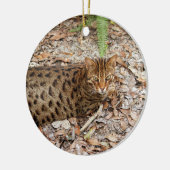 kerstversiering met bengachtige kat keramisch ornament (Links)