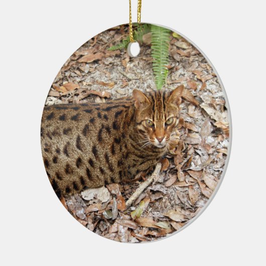kerstversiering met bengachtige kat keramisch ornament (Links)
