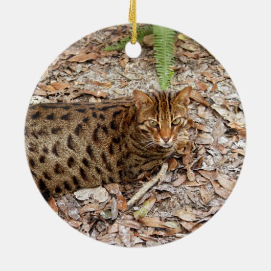 kerstversiering met bengachtige kat keramisch ornament (Achterkant)