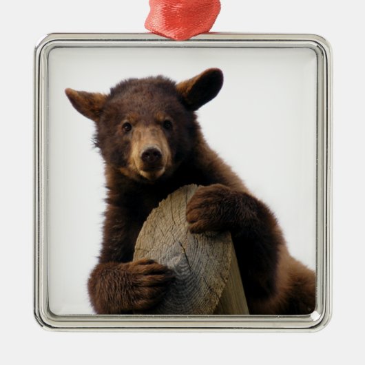 Kerstversiering met bruin Beer Metalen Ornament (Voorkant)