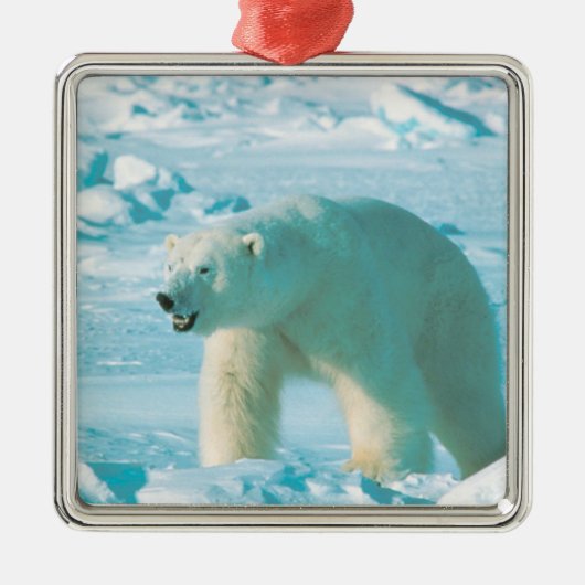 Kerstversiering met poolBeer Metalen Ornament (Voorkant)