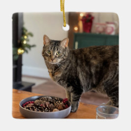 kerstversiering met Torti-Kat Keramisch Ornament