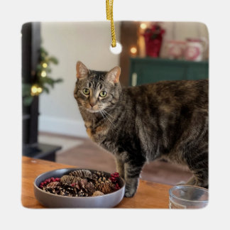 kerstversiering met Torti-Kat Keramisch Ornament