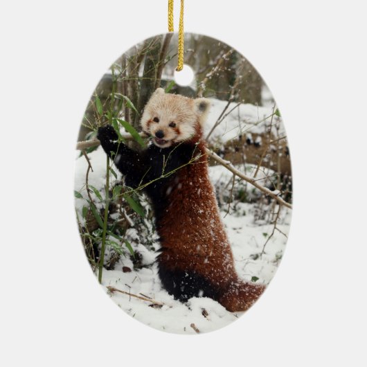 Kerstversiering - rode panda keramisch ornament (Achterkant)