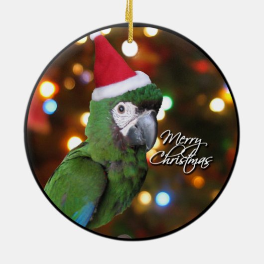 kerstversiering Santa Severe Macaw Keramisch Ornament (Achterkant)
