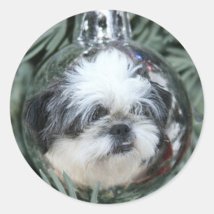 Kerstversiering Shih Tzu Ronde Sticker