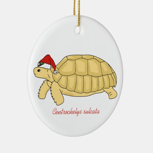 kerstversiering Sulcata Tortoise Keramisch Ornament (Rechts)