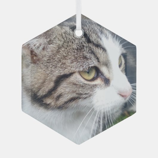 Kerstversiering van glas met aangepast afbeelding glas ornament (Voorkant)