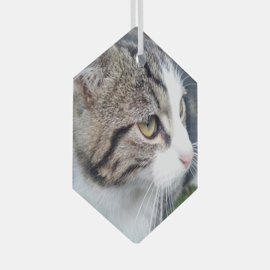 Kerstversiering van glas met aangepast afbeelding glas ornament (Voorkant Rechts)