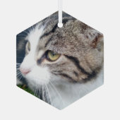 Kerstversiering van glas met aangepast afbeelding glas ornament (Achterkant)