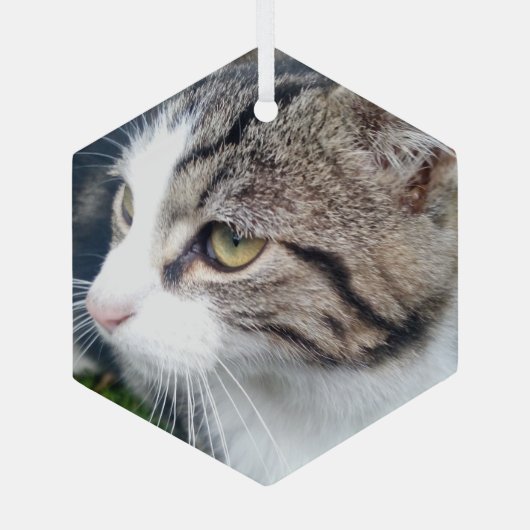 Kerstversiering van glas met aangepast afbeelding  glas ornament (Achterkant)