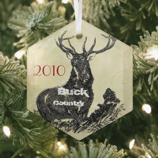 kerstversiering van het Moose Country Glas Ornament (Insitu)