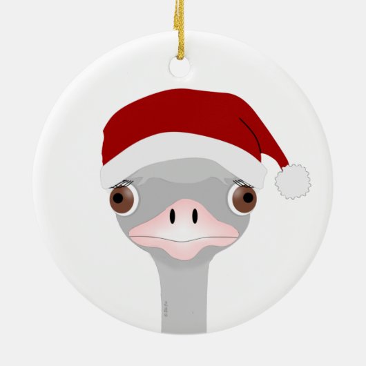 Kerstversiering van struisvogels keramisch ornament (Achterkant)