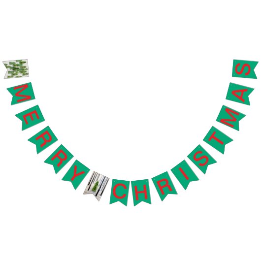 kerstversiering vlaggetjes (Alle)