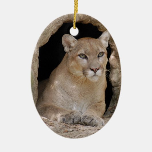 Kerstversiering voor Cougar Keramisch Ornament (Voorkant)