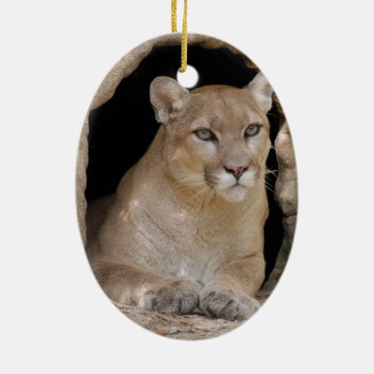 Kerstversiering voor Cougar Keramisch Ornament (Achterkant)