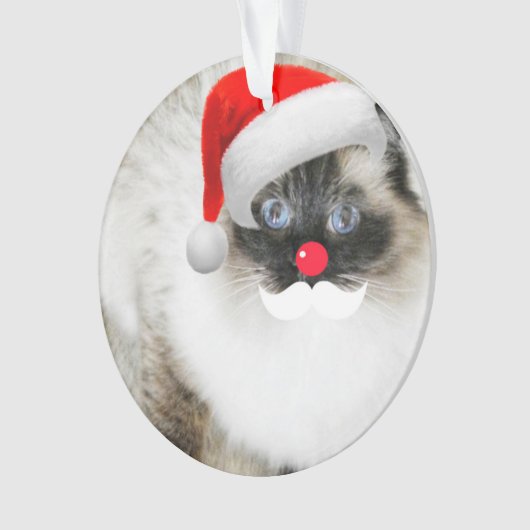 kerstversiering voor de kerstkerstkerstsieraad van ornament (voorkant)