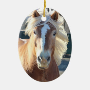 kerstversiering voor haflinger keramisch ornament