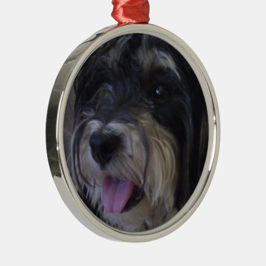 kerstversiering voor maltipoo metalen ornament (Rechts)