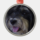 kerstversiering voor maltipoo metalen ornament (Voorkant)