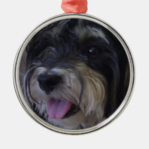 kerstversiering voor maltipoo metalen ornament