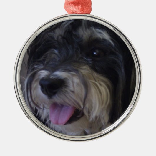 kerstversiering voor maltipoo metalen ornament (Voorkant)