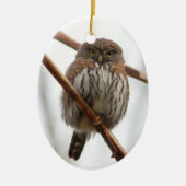 Kerstversiering voor ornament voor oranje ooiland  (Voorkant)