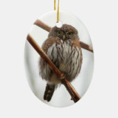 Kerstversiering voor ornament voor oranje ooiland (Achterkant)