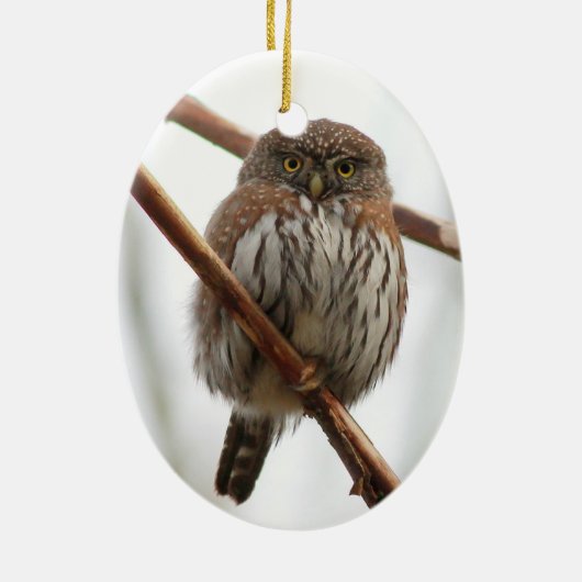 Kerstversiering voor ornament voor oranje ooiland  (Achterkant)