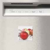 Kerstversieringen 9 magneet (Insitu (Vaatwasser))