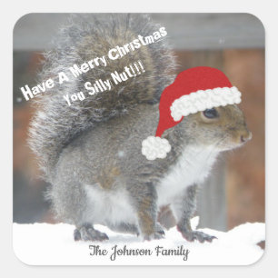 kerstvierkant Funny Stickers