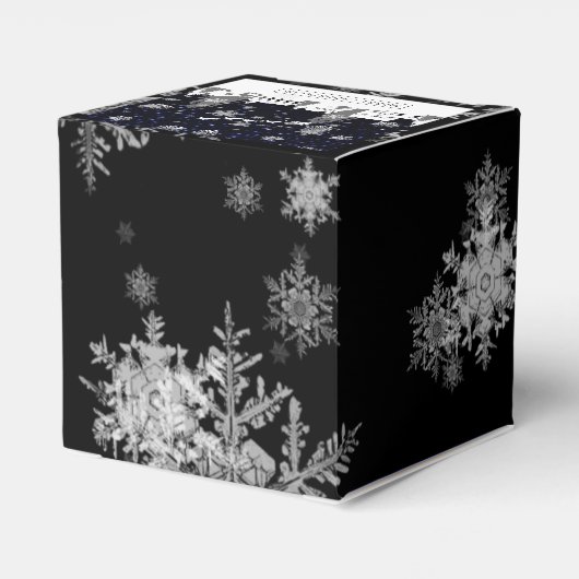 kerstvioolbox bedankdoosjes (Achterkant)