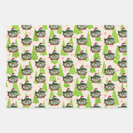 Kerstvis Santa Hat Funny Vist Inpakpapier Vel