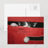 Kerstvlucht Feestdagenkaart (Voorkant / Achterkant)