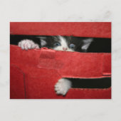 Kerstvlucht Feestdagenkaart (Voorkant)